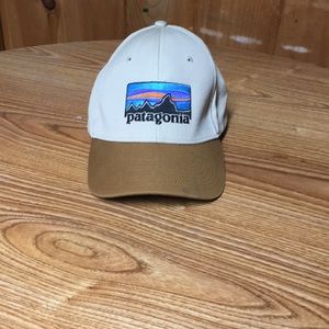 Patagonia Snap Back